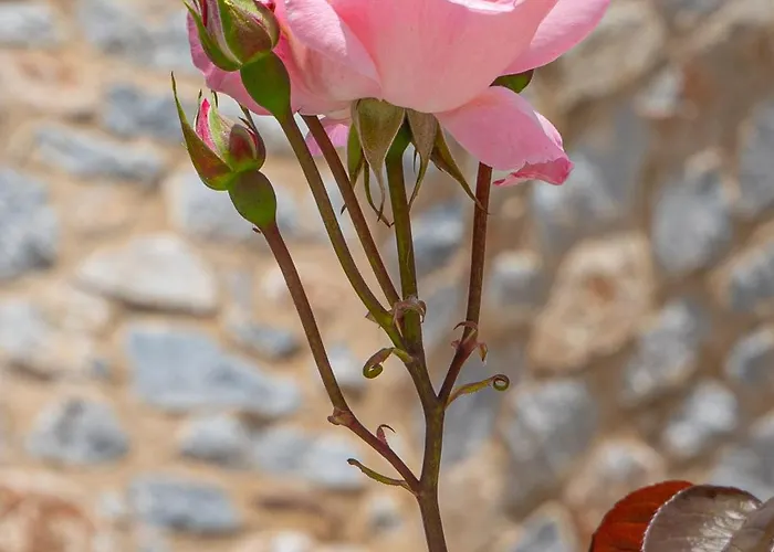 Castello Antico מלון